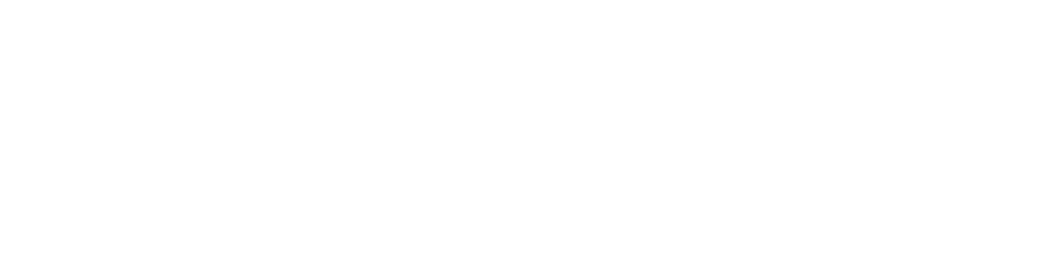 IndigoVision_MS_Logo_footer-3